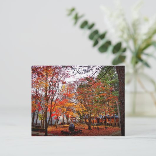 秋（韓国） ポストカード (スタンド正面)