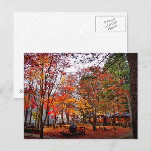 秋(韓国) ポストカード (正面/裏面)