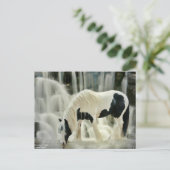 秋，馬，川，美しい景色 ポストカード (スタンド正面)