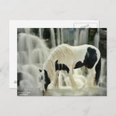 秋，馬，川，美しい景色 ポストカード (正面/裏面)