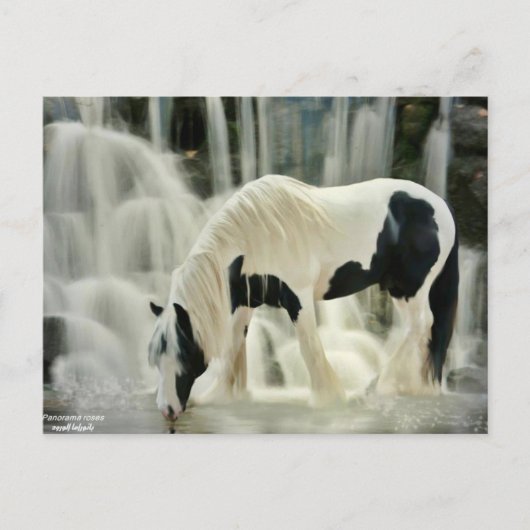 秋，馬，川，美しい景色 ポストカード (正面)