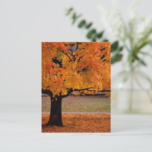 秋（1） ポストカード (スタンド正面)