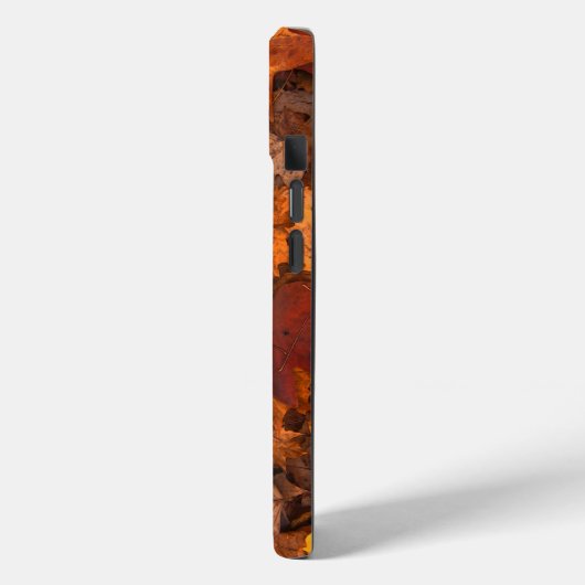 秋 Case-Mate iPhoneケース (裏面 / 左)