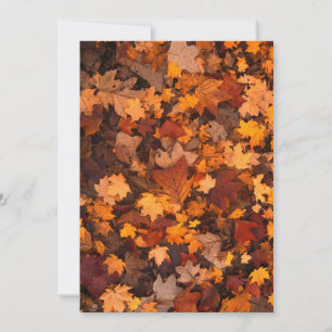 秋-folids-111315秋紅葉の色を戻す