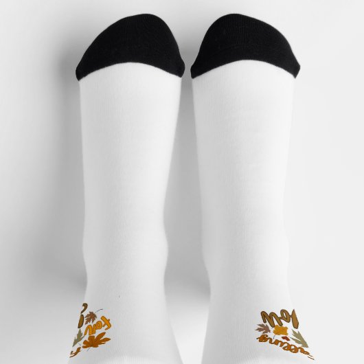 秋(-ing) ソックス (上部)