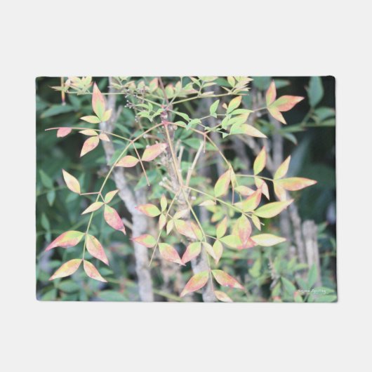 秋For Youドアマット ドアマット (正面)