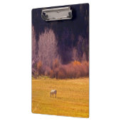 秋Iの馬 クリップボード (左)