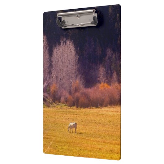 秋Iの馬 クリップボード (左)