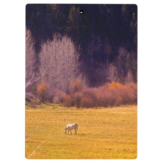 秋Iの馬 クリップボード (裏面)