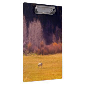 秋Iの馬 クリップボード (右)