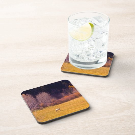 秋Iの馬 コースター (右側)