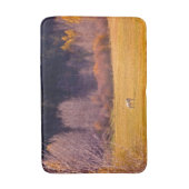 秋Iの馬 バスマット (正面縦)