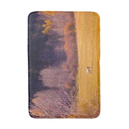 秋Iの馬 バスマット (正面縦)