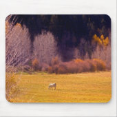 秋Iの馬 マウスパッド (正面)