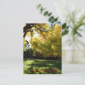 秋I ポストカード (スタンド正面)