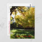 秋I ポストカード (正面/裏面)