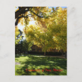 秋I ポストカード (正面)