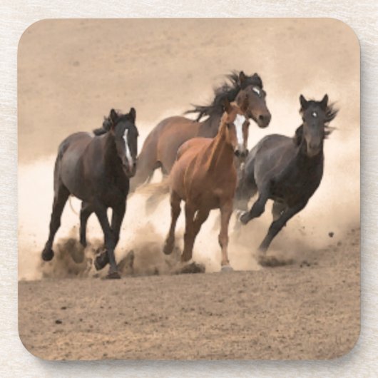 秋IIの馬 コースター (正面)