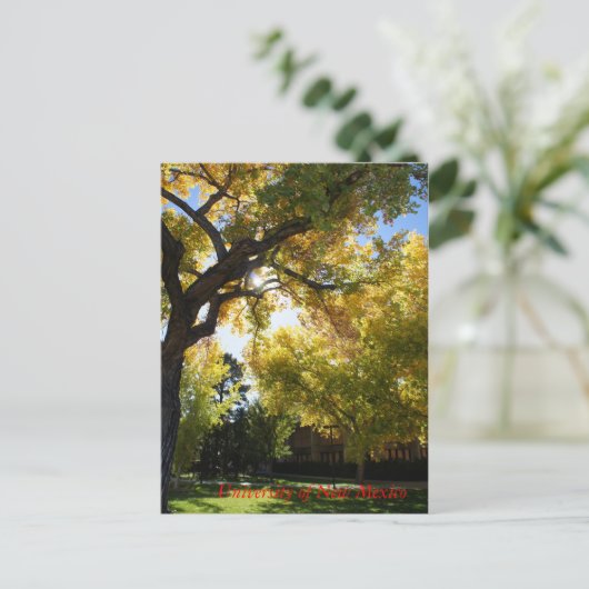 秋II ポストカード (スタンド正面)