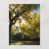 秋II ポストカード (正面)