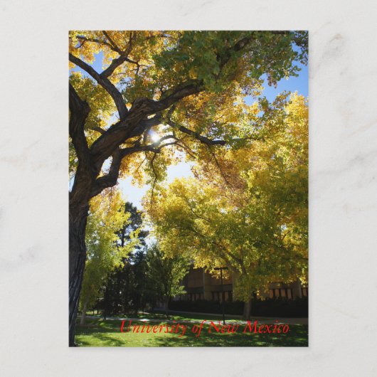 秋II ポストカード (正面)