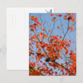 秋III ポストカード (正面/裏面)