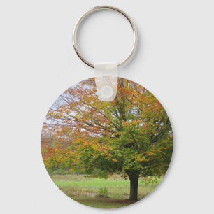 秋Keychainの木 キーホルダー