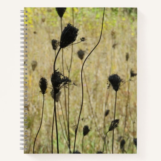 秋Meadow Notebook for Office, School, Artist ノートブック (正面)
