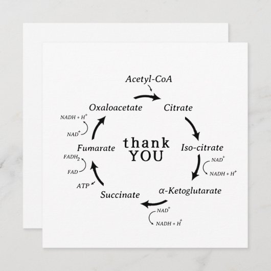 科学ありがとう先生クレブのサイクル生物学 (正面/裏面)