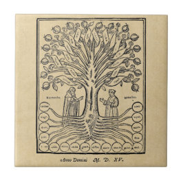 科学の中世木 タイル