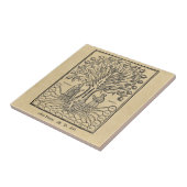 科学の中世木 タイル (側面)