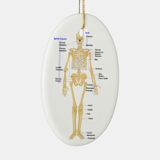 科学の教師のクリスマスのオーナメント セラミックオーナメント (右)