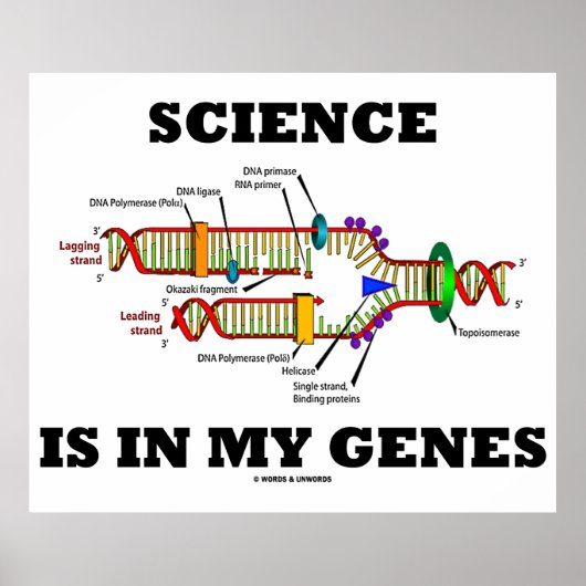 科学は私の遺伝子にある(DNA複製) ポスター (正面)