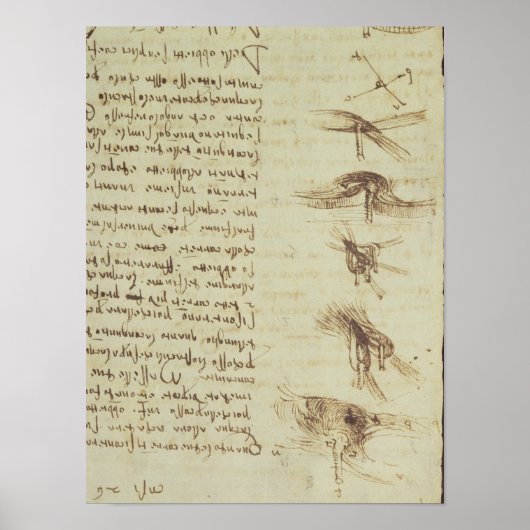 科学図 ポスター (正面)