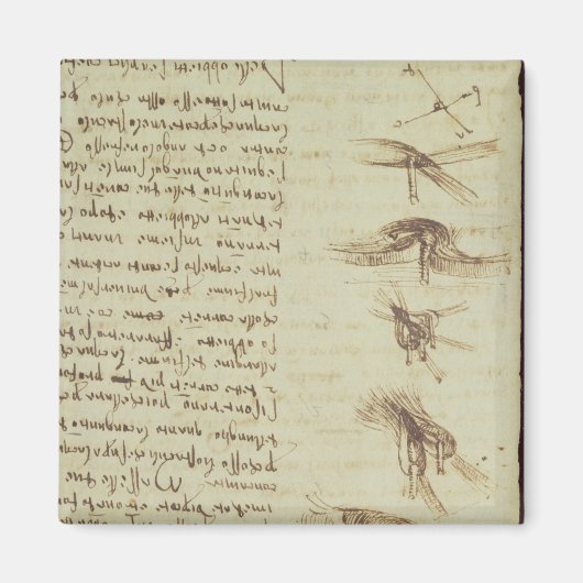 科学図 マグネット (正面)