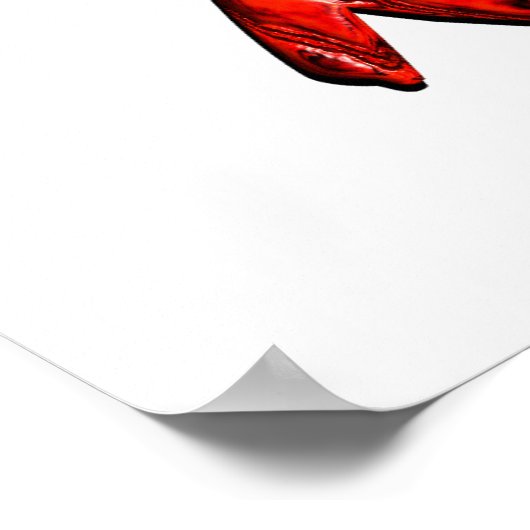 科学岩石 ポスター (角)