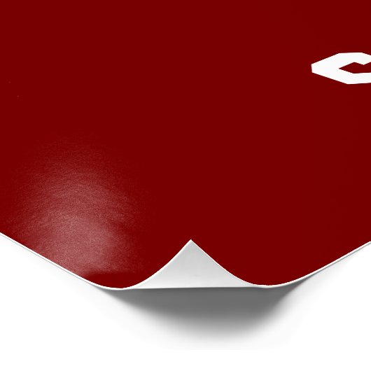 科学救の人生 ポスター (コーナー)