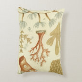 科学教科書生物学ヴィンテージサンゴ動物 アクセントクッション (裏面(縦))