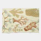 科学教科書生物学ヴィンテージサンゴ動物 キッチンタオル (横)