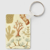 科学教科書生物学ヴィンテージサンゴ動物 キーホルダー (裏面)
