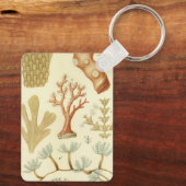科学教科書生物学ヴィンテージサンゴ動物 キーホルダー (裏面)