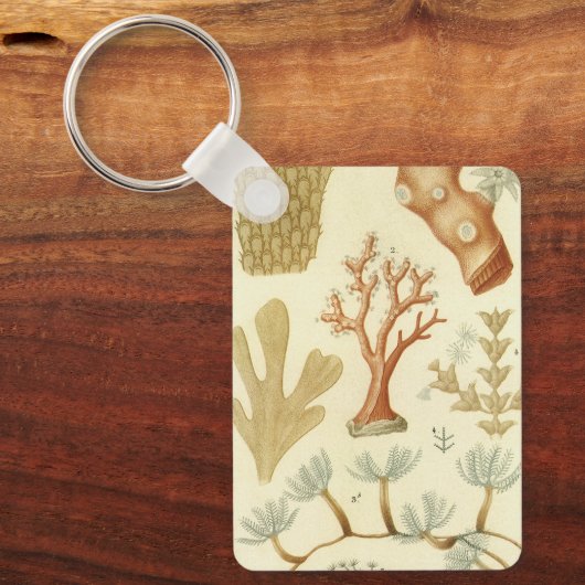 科学教科書生物学ヴィンテージサンゴ動物 キーホルダー (正面)