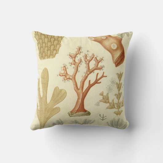 科学教科書生物学ヴィンテージサンゴ動物 クッション (裏面)