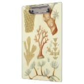 科学教科書生物学ヴィンテージサンゴ動物 クリップボード (左)