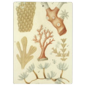 科学教科書生物学ヴィンテージサンゴ動物 クリップボード (裏面)