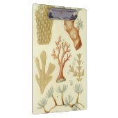 科学教科書生物学ヴィンテージサンゴ動物 クリップボード (右)