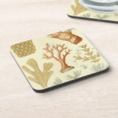 科学教科書生物学ヴィンテージサンゴ動物 コースター (左側)