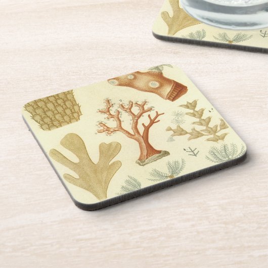 科学教科書生物学ヴィンテージサンゴ動物 コースター (左側)