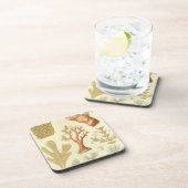 科学教科書生物学ヴィンテージサンゴ動物 コースター (右側)