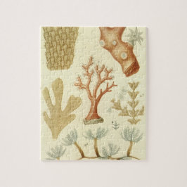 科学教科書生物学ヴィンテージサンゴ動物 ジグソーパズル